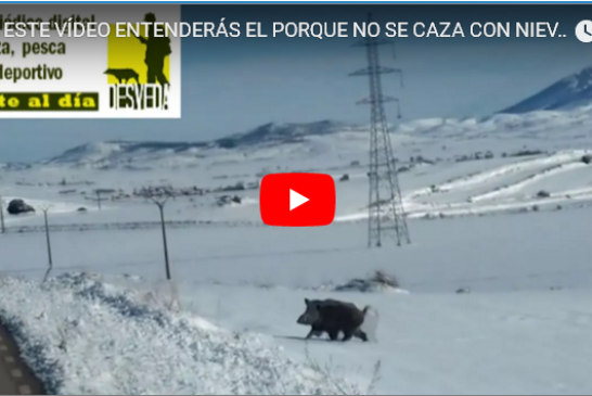 CON ESTE VÍDEO ENTENDERÁS PORQUE NO SE CAZA CON NIEVE