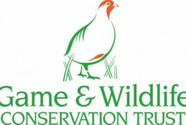 La Fundación Artemisan y The Game & Wildlife Conservation Trust colaborarán en materia de investigación