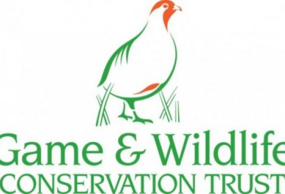 La Fundación Artemisan y The Game & Wildlife Conservation Trust colaborarán en materia de investigación