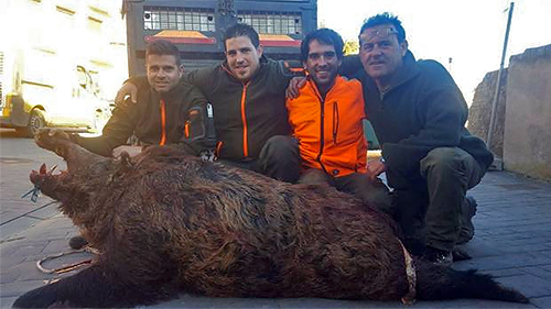 La Oficina Nacional de la Caza logra que el RD que regula la gestión del SANDACH excluya a monterías con menos de 40 cazadores o menos de 20 piezas abatidas