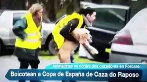Grupos animalistas cometen acciones violentas en Copa de España de Caza del Zorro