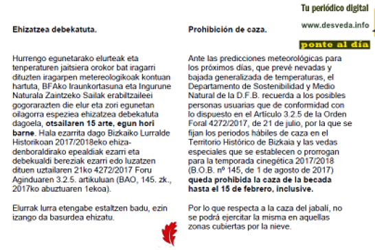 ¡Última hora! Cerrada la caza de Becada en Bizkaia