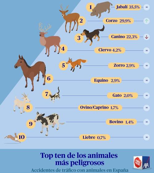 ANIMALES ACCIDENTES TRAFICO