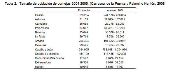 corvidos tabla 2