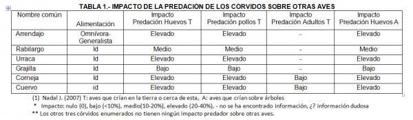 córvidos tabla 1