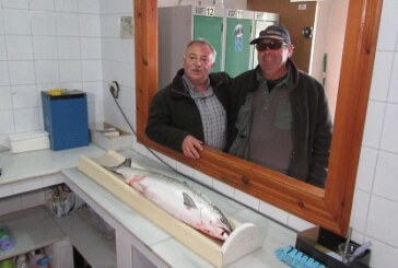 Pescado el Camapanu de Asturias (+ vídeo captura)