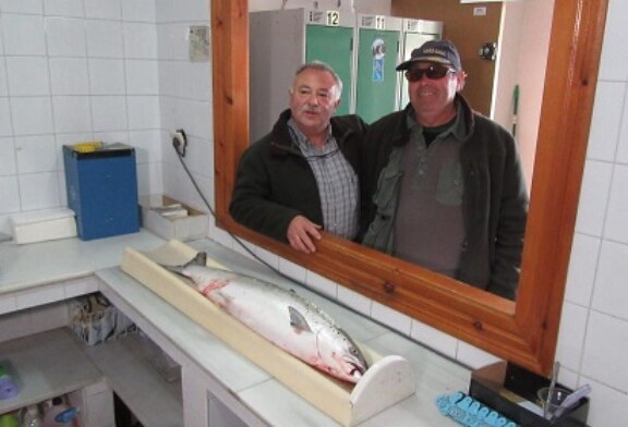 Pescado el Camapanu de Asturias (+ vídeo captura)