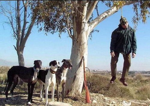 Soy cazador, qué vergüenza. Interesante reflexión- El domingo tod@s a la calle