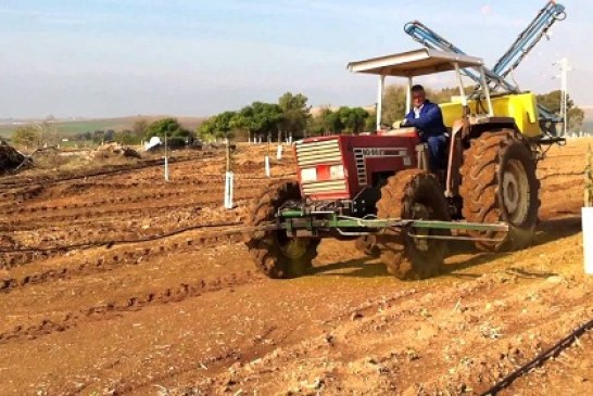 El proyecto interFIELD abre un debate sobre el futuro del modelo de gestión agroambiental de la península