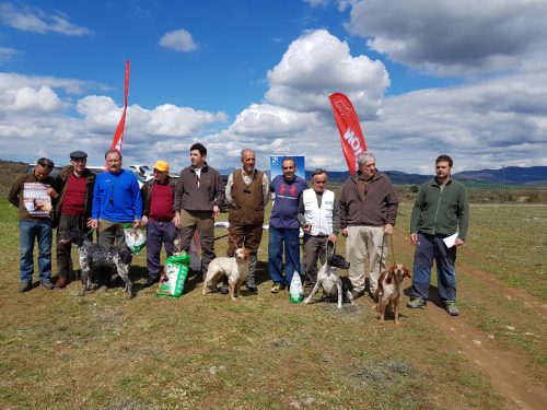 Perros de muestra de Retana en Alava. Resultados (+ galería fotos)