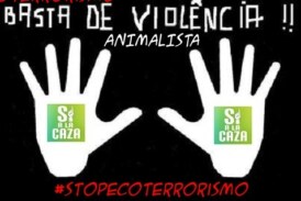 La RFEC solicitará la modificación del Código Penal para evitar nuevos ataques y delitos de odio contra los cazadores