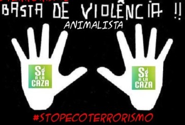 NO es NO. Silencio del PACMA ante la violencia sexista del animalismo