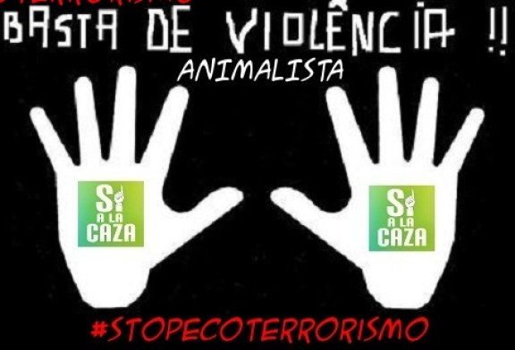 NO es NO. Silencio del PACMA ante la violencia sexista del animalismo