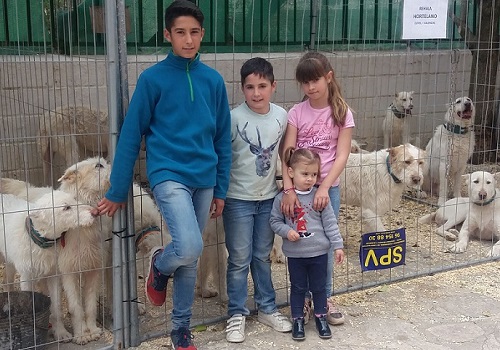 Campillo de Altobuey. La afición pide paso