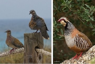 Impulso a un proyecto pionero en medidas agroambientales en España