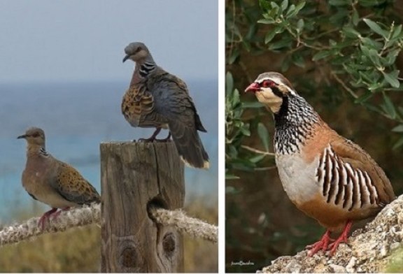 Impulso a un proyecto pionero en medidas agroambientales en España