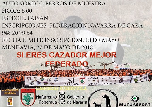 Dia 27 de mayo. Campeonato de Navarra de Perros de Muestra