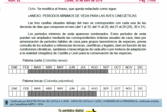 El periodo mínimo de caza de la paloma torcaz en Castilla y León será del 20 de agosto al 20 de febrero