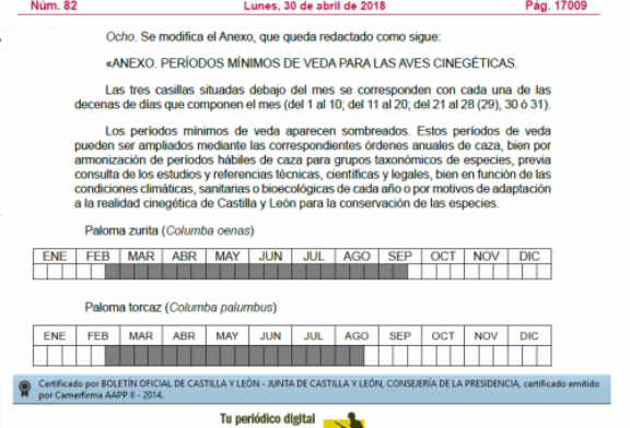El periodo mínimo de caza de la paloma torcaz en Castilla y León será del 20 de agosto al 20 de febrero