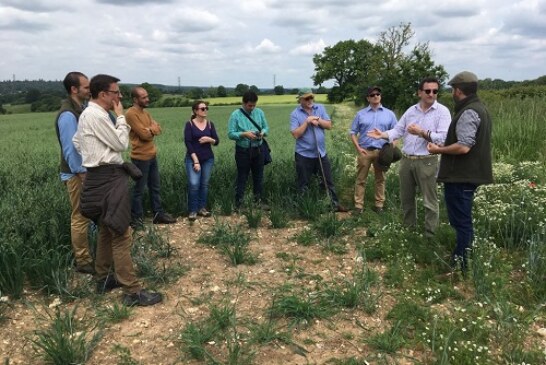 El proyecto INTERFIELD visita Reino Unido para conocer de primera mano nuevas medidas agroambientales
