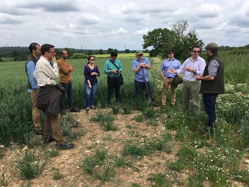 El proyecto INTERFIELD visita Reino Unido para conocer de primera mano nuevas medidas agroambientales