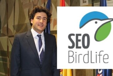 La prohibición de la tórtola: el negocio de SEO/BirdLife y sus socios en Europa