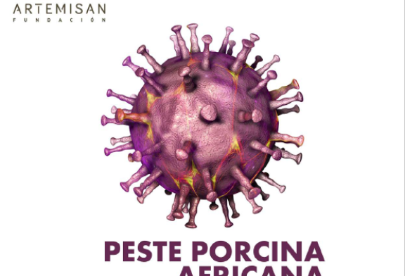 La Fundación Artemisan elabora un documento informativo sobre la Peste Porcina Africana PPA con 20 preguntas y respuestas