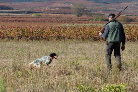 La Rioja. Ayudas a la vigilancia de cotos de caza