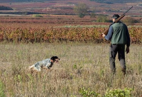 La Rioja. Ayudas a la vigilancia de cotos de caza