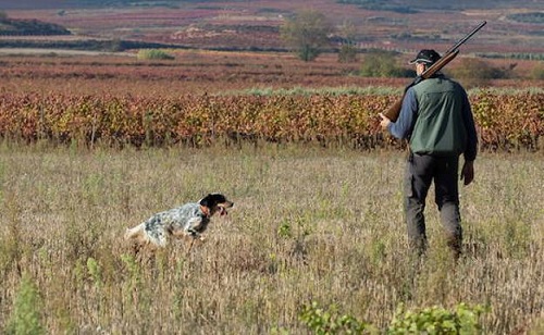 La Rioja. Ayudas a la vigilancia de cotos de caza