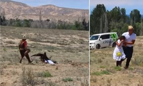 Vídeo: así fue el escalofriante momento en que un águila ataca a una niña