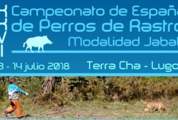 XXVI Campeonato de España de Perros de Rastro, modalidad Jabalí