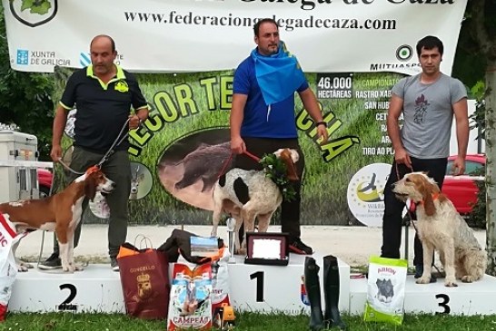 Resultados del Campeonato de España de Perros de Rastro