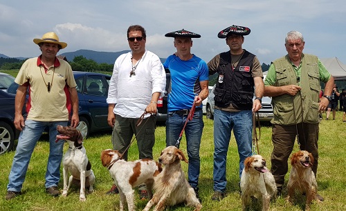 Éxito de participación en el campeonato de perros de muestra de Belendiz