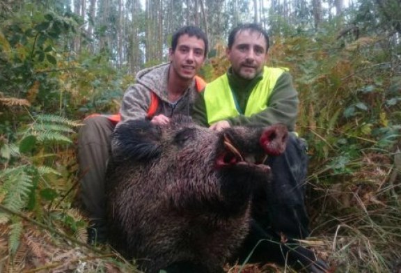 Castilla y León. Solo cazadores federados realizarán controles de fauna