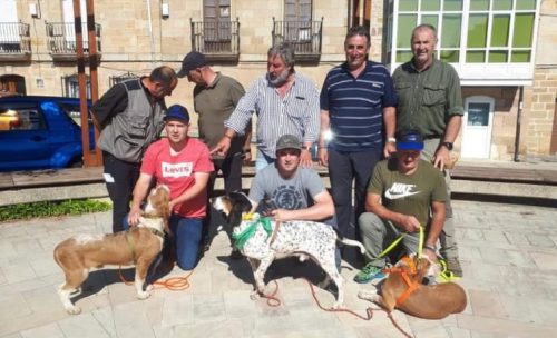 Celebrada I Copa Perros de Rastro Ayto Valderredible (Cantabria)