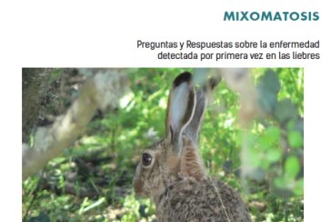 Descárgate el folleto informativo sobre la mixomatosis en liebres