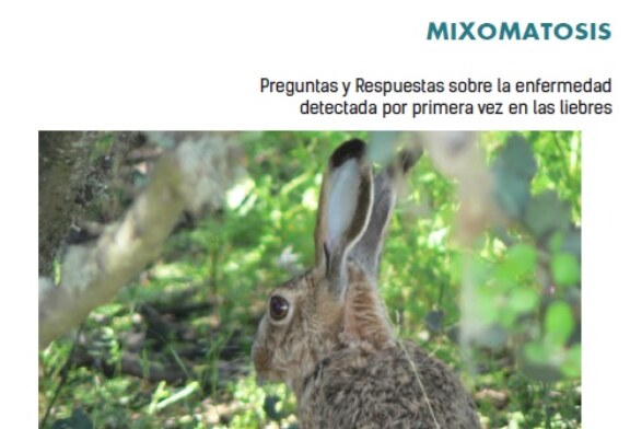 Descárgate el folleto informativo sobre la mixomatosis en liebres