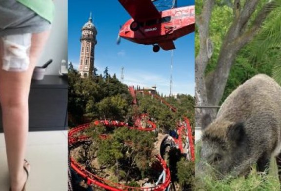 Un jabalí ataca a una familia en el parque de atracciones del Tibidabo