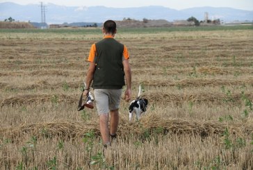 Cuidados de tus perros de cara a la Media Veda