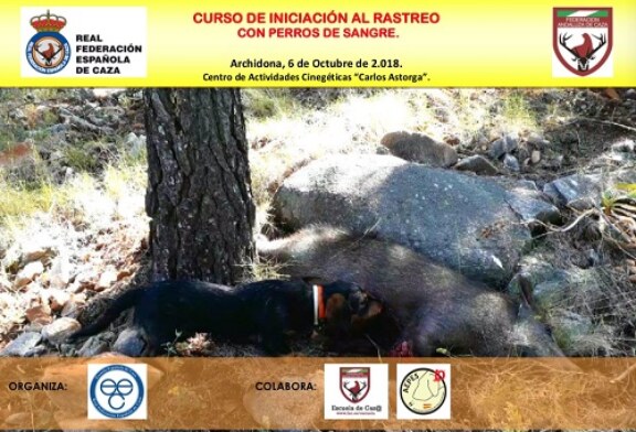 Aprende todos los secretos sobre el rastreo con perros de sangre en cursos de la Escuela Española de Caza