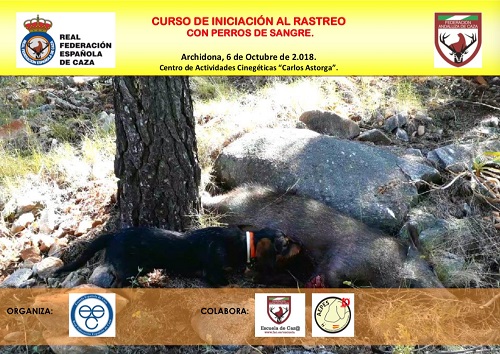 Aprende todos los secretos sobre el rastreo con perros de sangre en cursos de la Escuela Española de Caza
