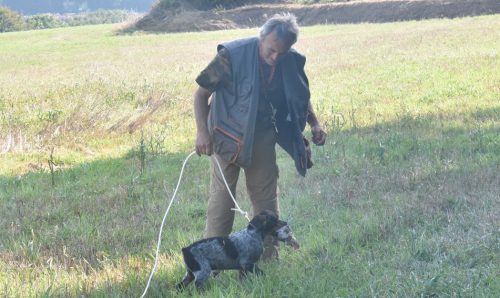 El éxito de un método que revolucionó el adiestramiento del perro de caza: Los secretos de Keranlouan