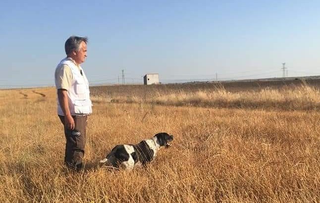 HORNO DE AKELARRE de Paco Ocio, campeón de España de Caza Práctica