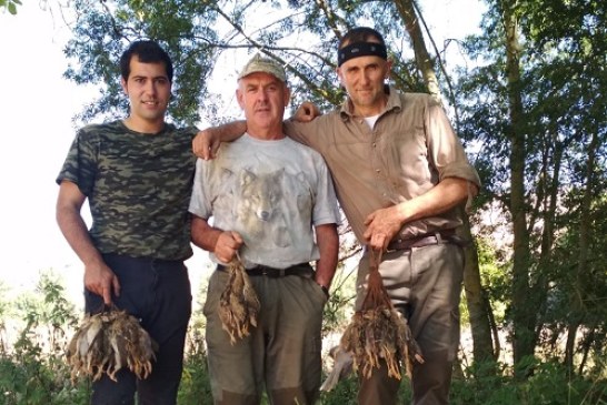 Últimos mohicanos a codornices. Las palomas más zorreadas.  Cuarto boletín Media Veda