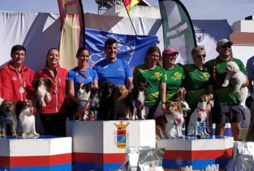 El V Campeonato de España de Agility y la IV Copa Júnior