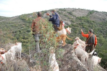 CARNE SILVESTRE, MOTOR ECONÓMICO DE ESPAÑA