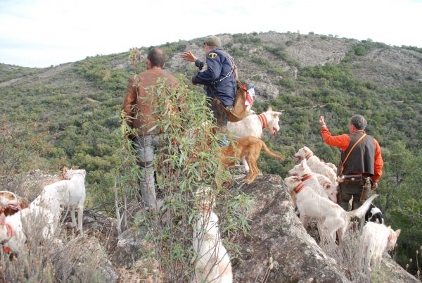 CARNE SILVESTRE, MOTOR ECONÓMICO DE ESPAÑA