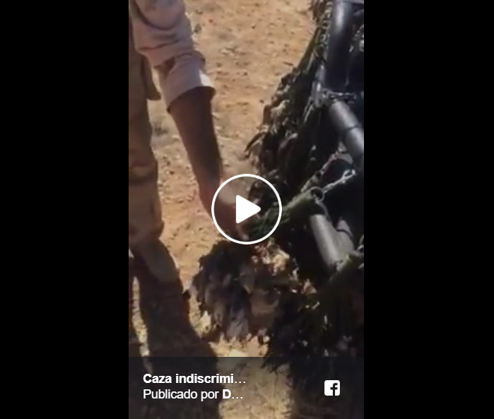 Indiscriminada caza de aves en África (+Vídeos denuncia)