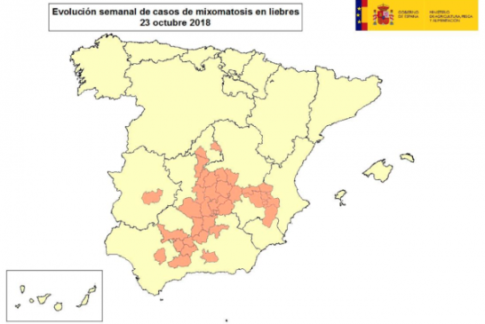 La mixomatosis alcanza ya a liebres de al menos 12 provincias